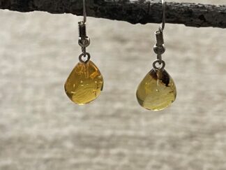 Amber Earrings